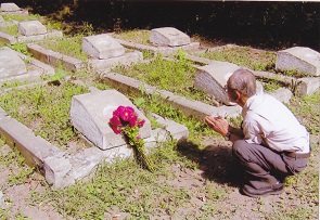 p285d22.jpg