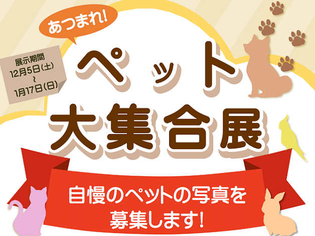 募集.png